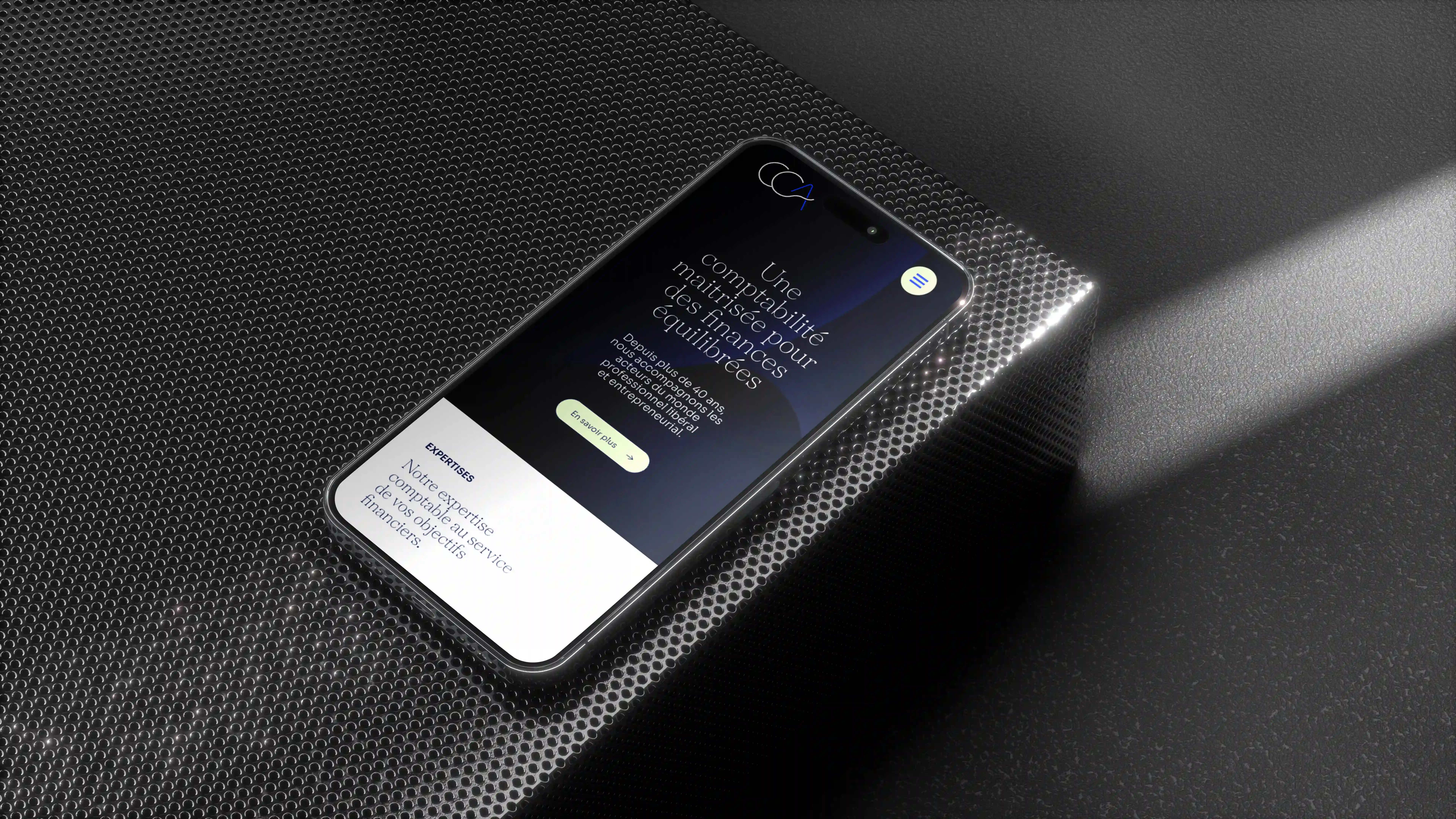 Project screenshot 1