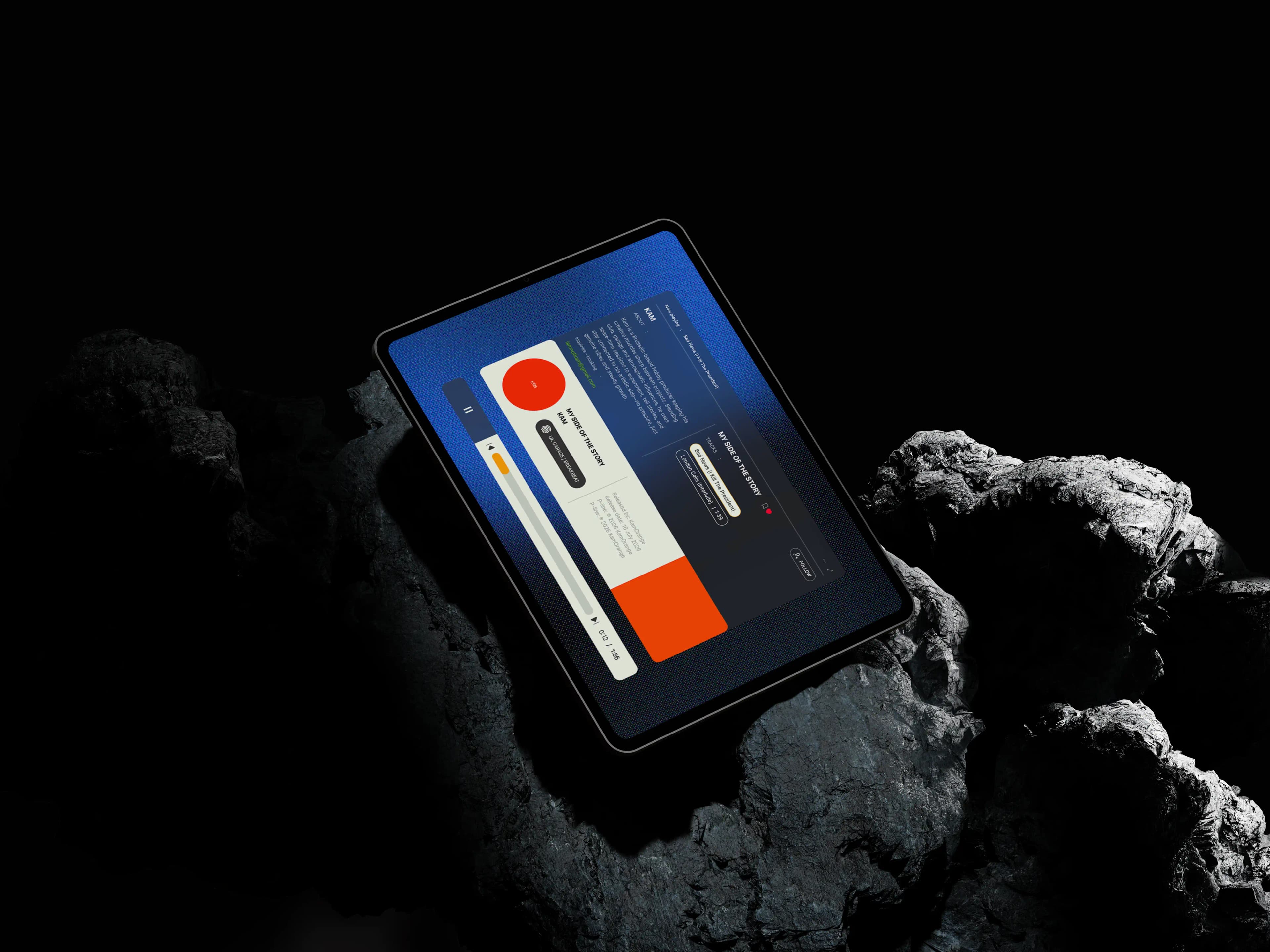 Project screenshot 2